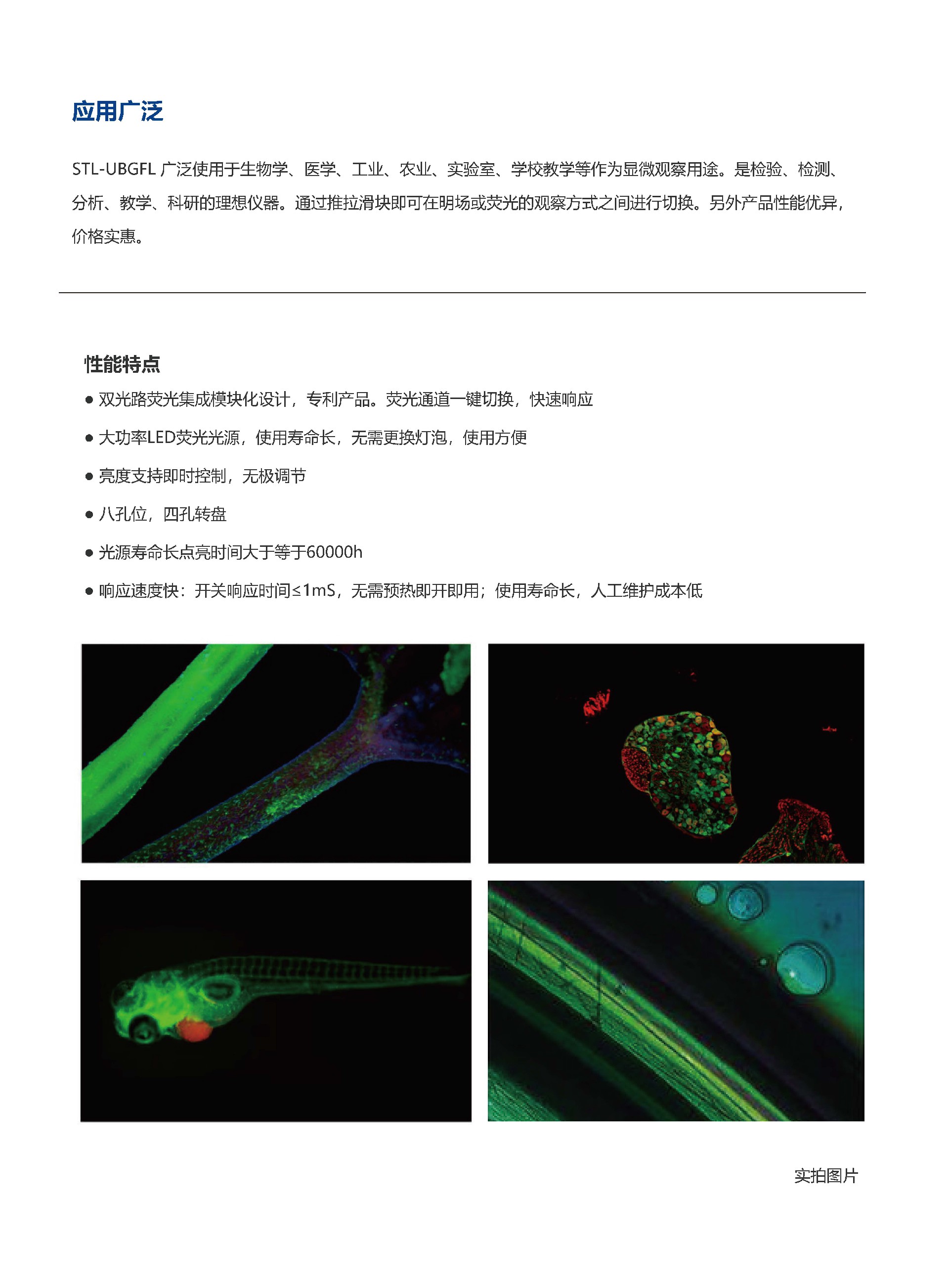 STL-UBGFL体式荧光附件_页面_2.jpg