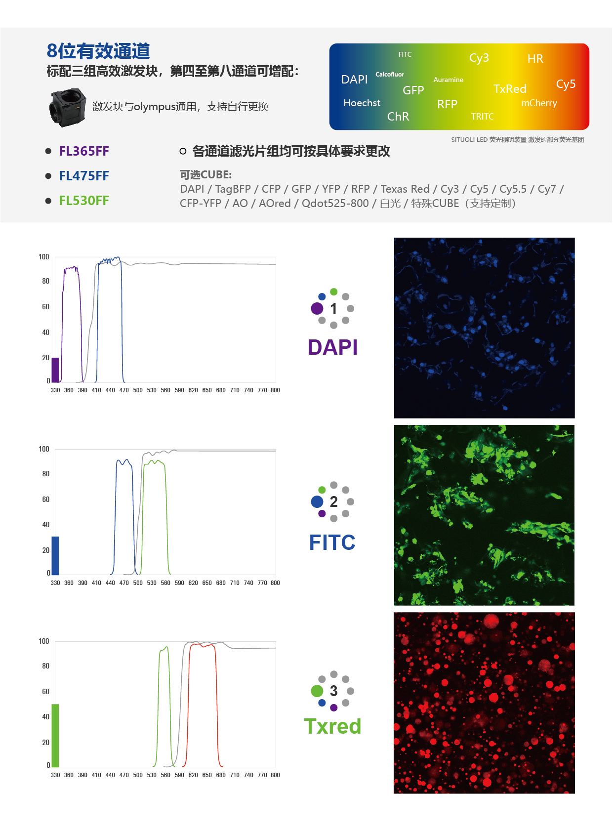 STL-IXRFAA8 倒置8位电动荧光模块_画板 1 副本 6.jpg